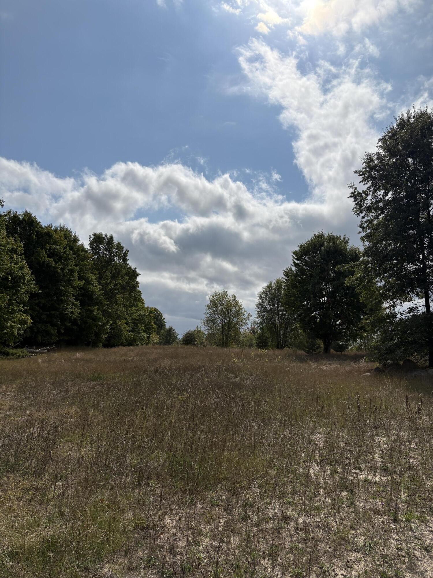 7267 South Snyder Road Southwest Fife Lake, MI 49633 - Photo 14 of 15 IMG_5461