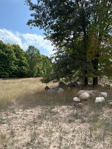 $320,000 | 7267 South Snyder Road Southwest, Fife Lake, MI 49633