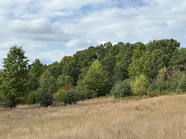 $320,000 | 7267 South Snyder Road Southwest, Fife Lake, MI 49633