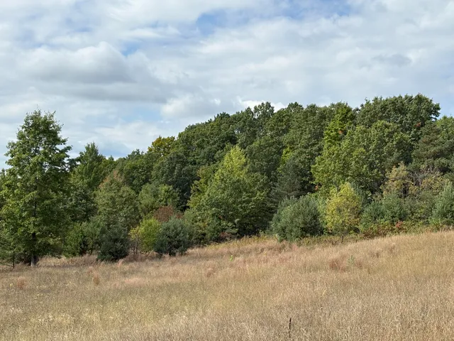 $320,000 | 7267 South Snyder Road Southwest, Fife Lake, MI 49633