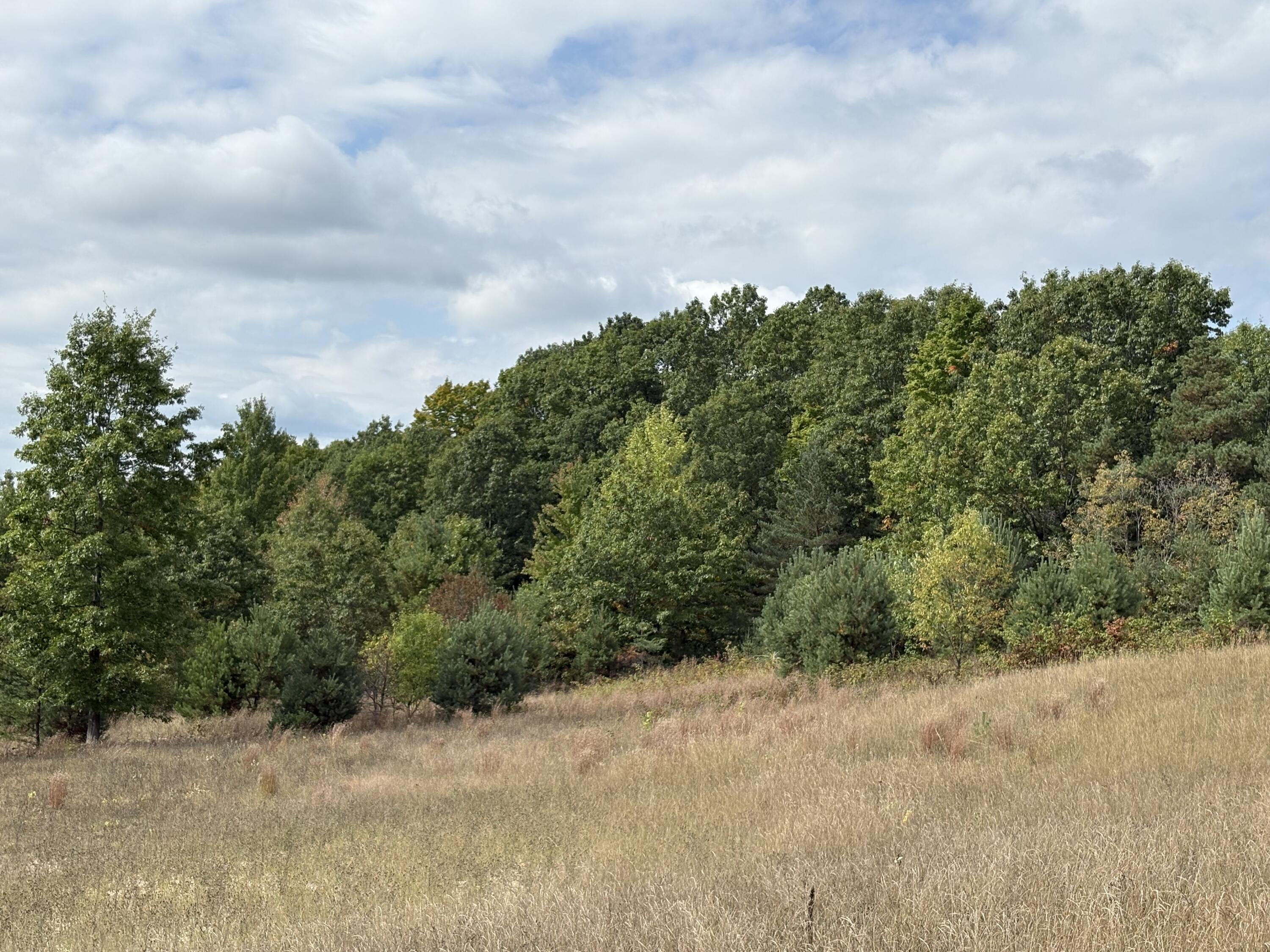 7267 South Snyder Road Southwest Fife Lake, MI 49633 - Photo 2 of 15 IMG_5464