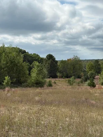 $320,000 | 7267 South Snyder Road Southwest, Fife Lake, MI 49633