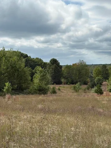 $320,000 | 7267 South Snyder Road Southwest, Fife Lake, MI 49633