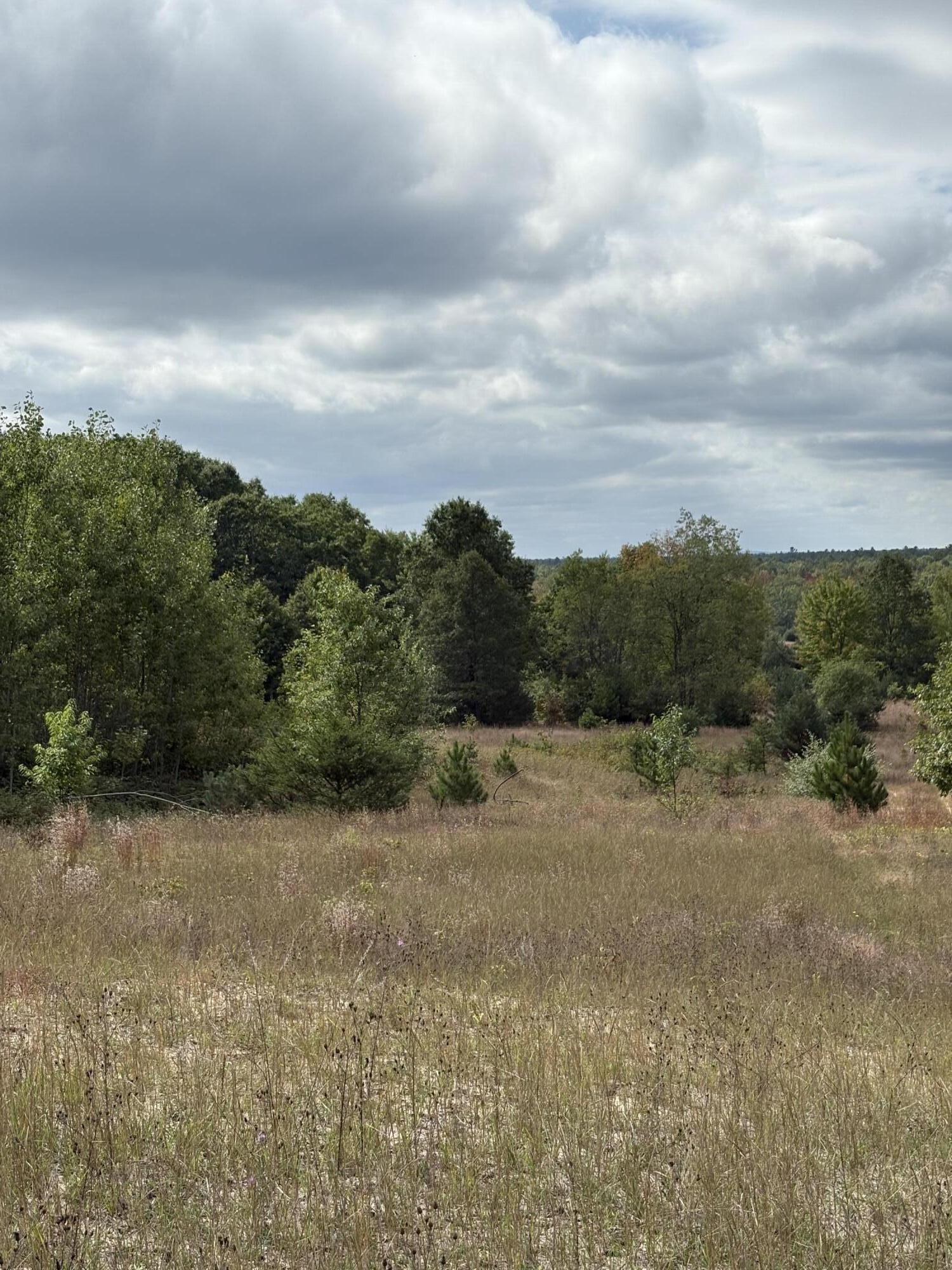 7267 South Snyder Road Southwest Fife Lake, MI 49633 - Photo 3 of 15 IMG_5463