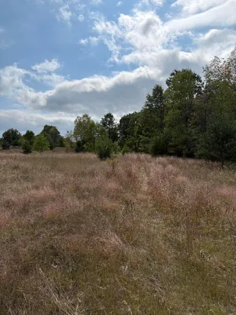 $320,000 | 7267 South Snyder Road Southwest, Fife Lake, MI 49633