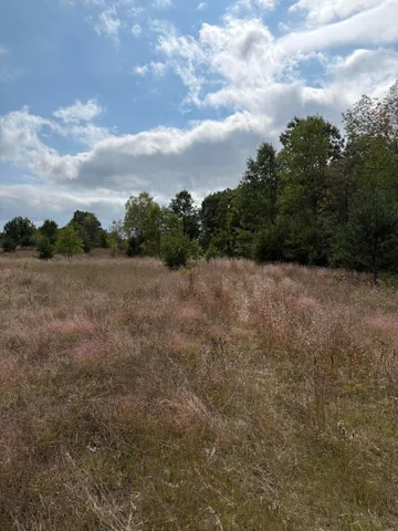 $320,000 | 7267 South Snyder Road Southwest, Fife Lake, MI 49633