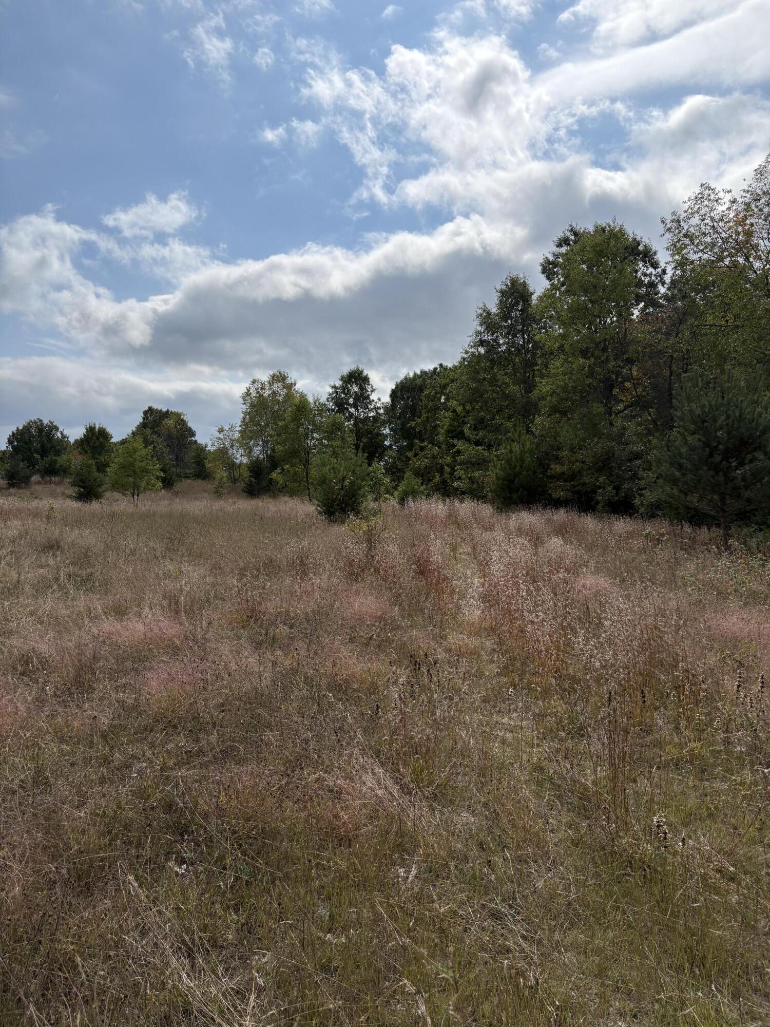 7267 South Snyder Road Southwest Fife Lake, MI 49633 - Photo 4 of 15 IMG_5466