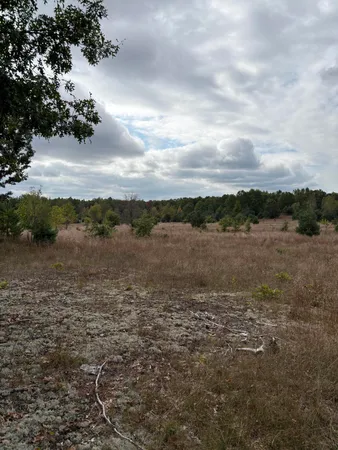 $320,000 | 7267 South Snyder Road Southwest, Fife Lake, MI 49633