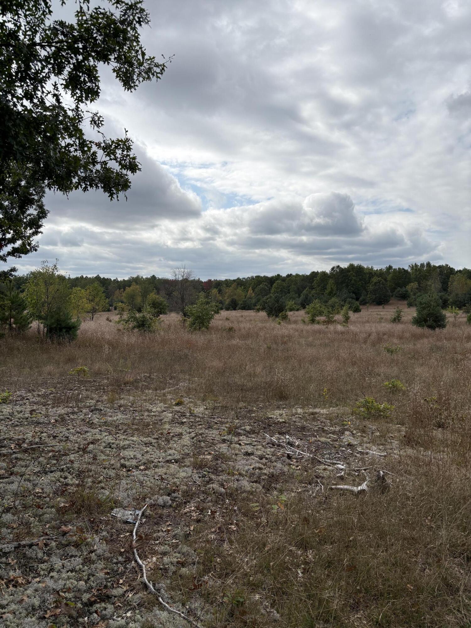 7267 South Snyder Road Southwest Fife Lake, MI 49633 - Photo 5 of 15 IMG_5468