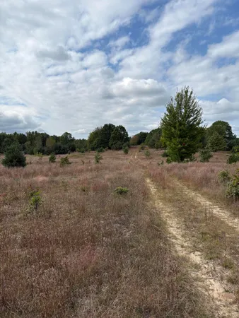 $320,000 | 7267 South Snyder Road Southwest, Fife Lake, MI 49633