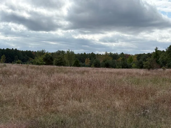 $320,000 | 7267 South Snyder Road Southwest, Fife Lake, MI 49633