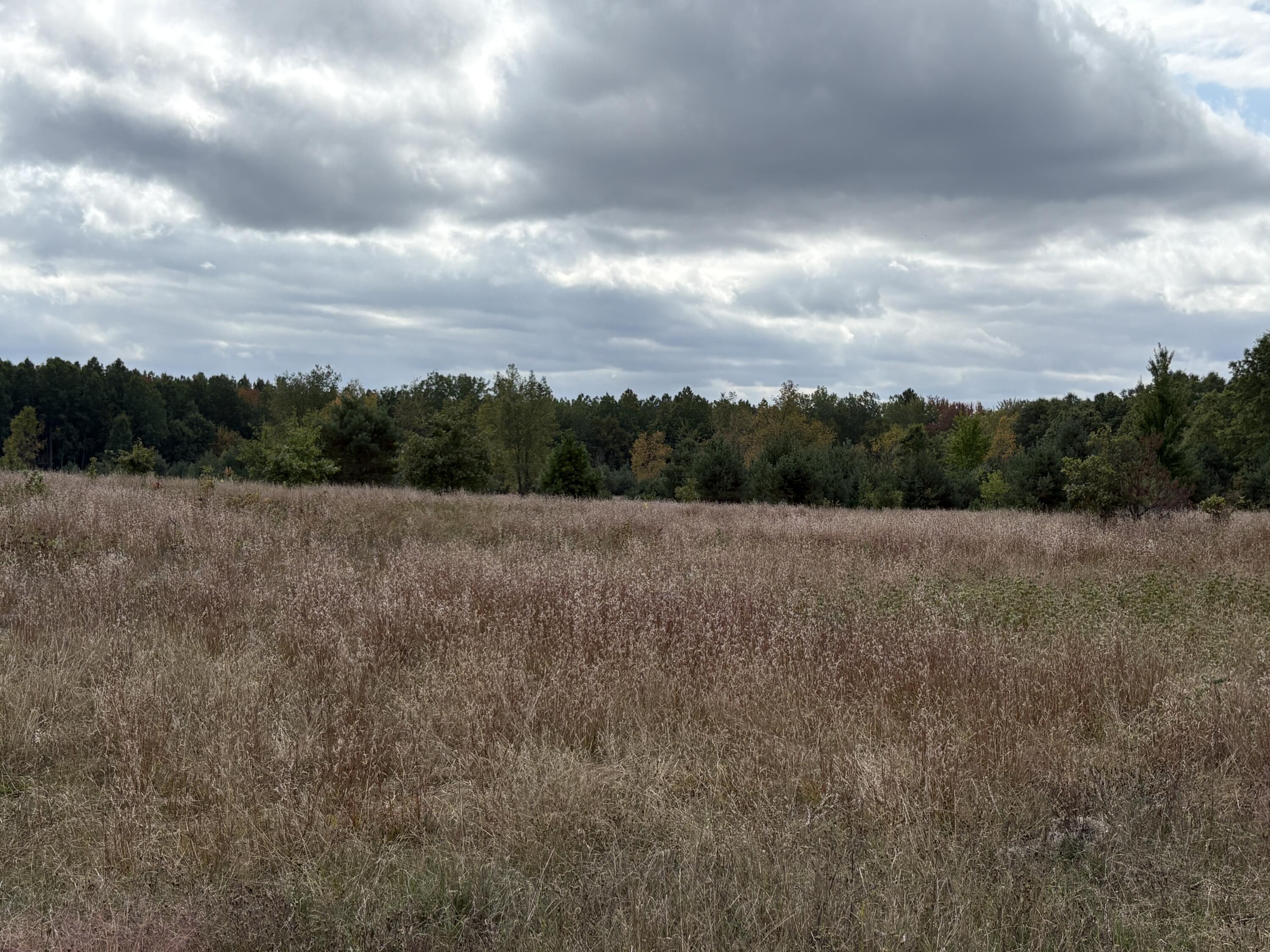 7267 South Snyder Road Southwest Fife Lake, MI 49633 - Photo 7 of 15 IMG_5470