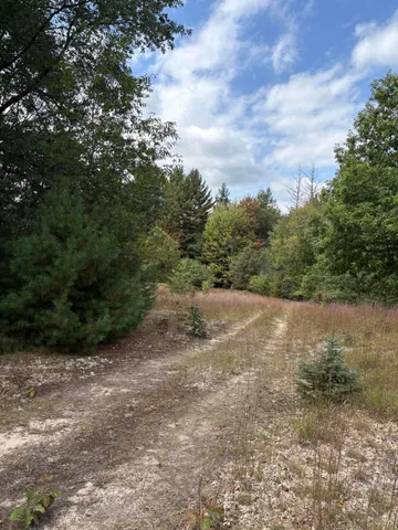 $320,000 | 7267 South Snyder Road Southwest, Fife Lake, MI 49633