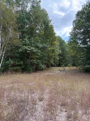 $320,000 | 7267 South Snyder Road Southwest, Fife Lake, MI 49633