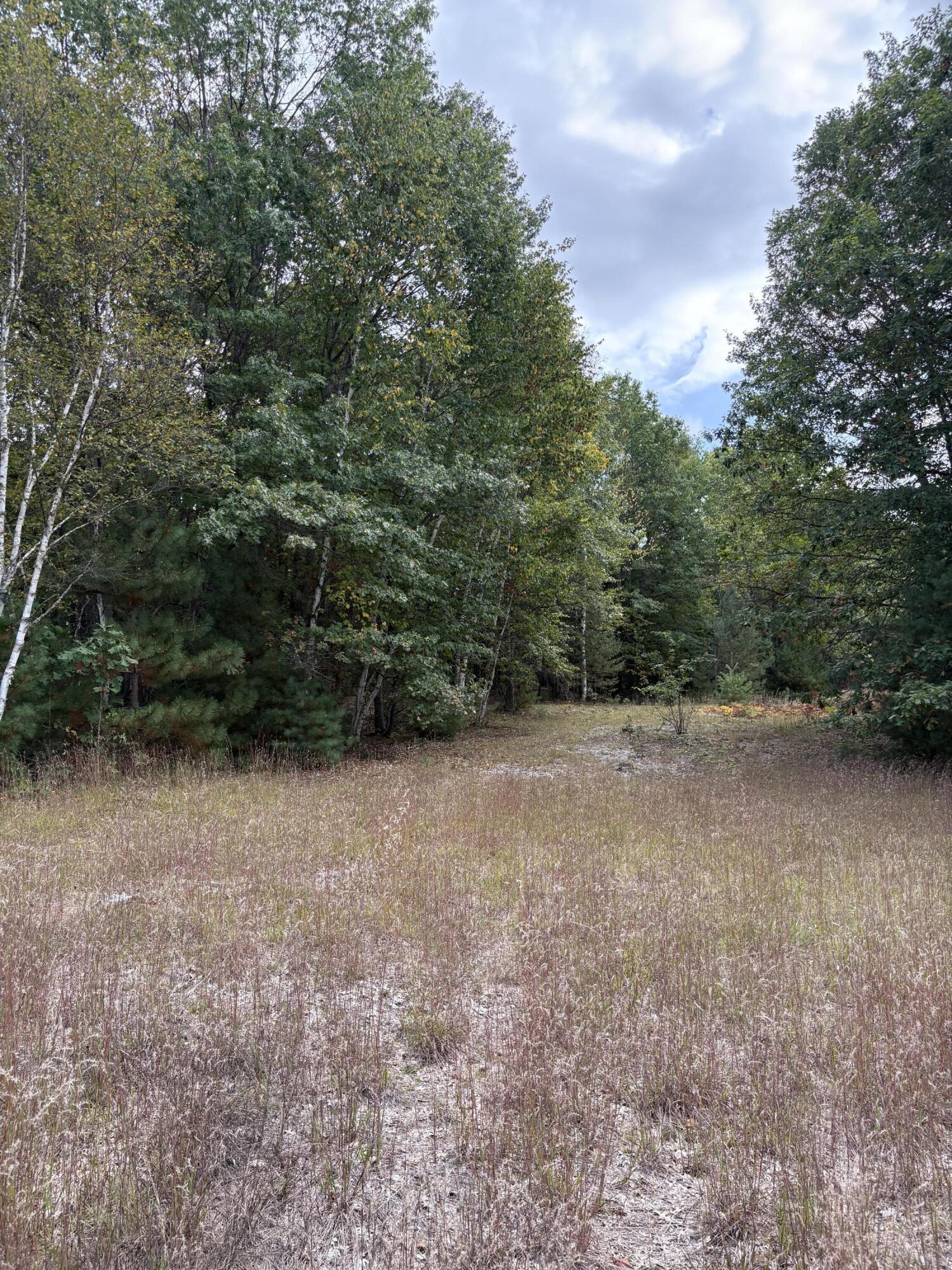 7267 South Snyder Road Southwest Fife Lake, MI 49633 - Photo 9 of 15 IMG_5472