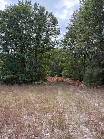 $320,000 | 7267 South Snyder Road Southwest, Fife Lake, MI 49633