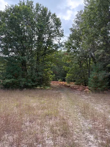 $320,000 | 7267 South Snyder Road Southwest, Fife Lake, MI 49633