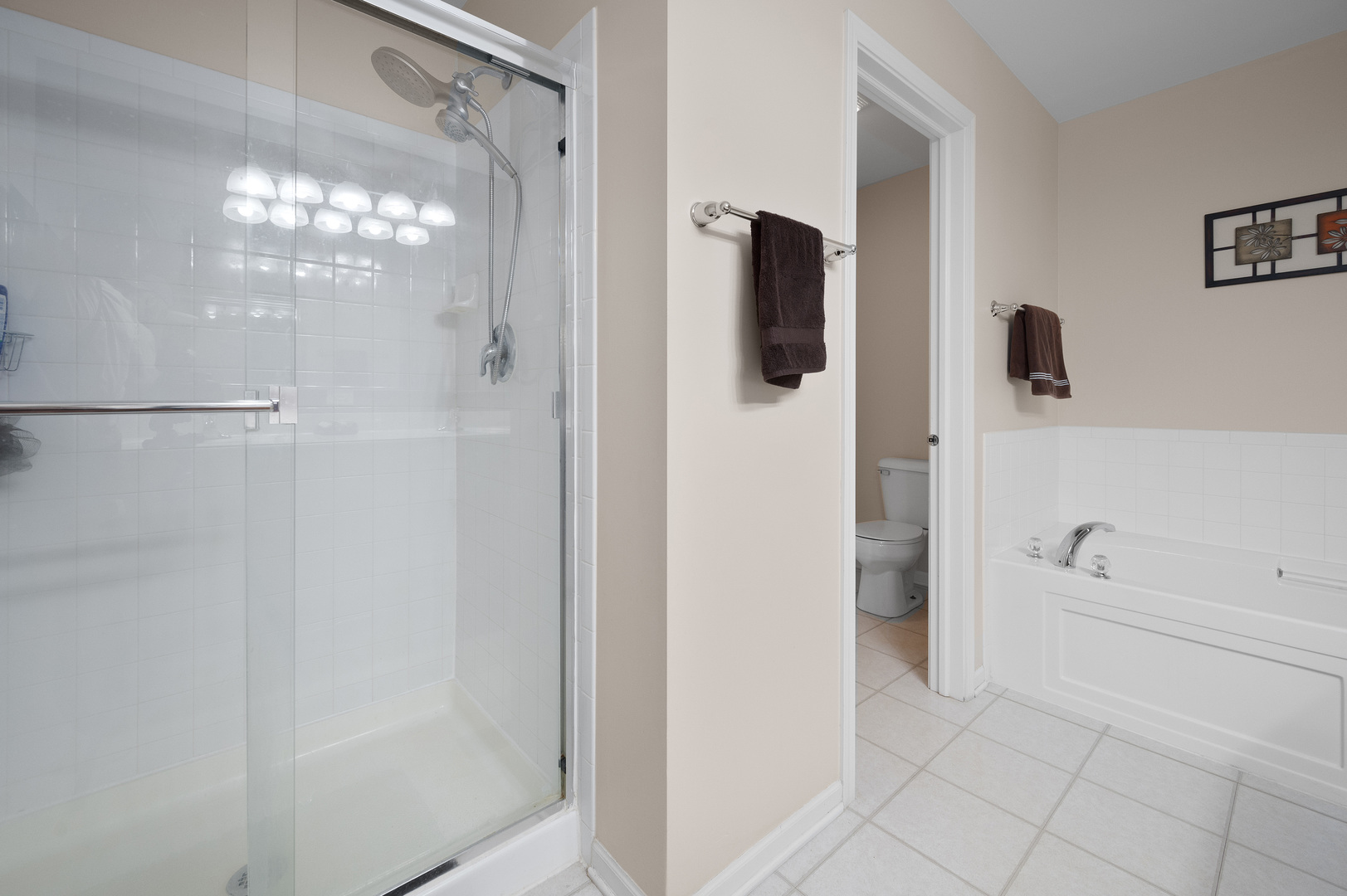 419 Riverbend Drive Genoa, IL 60135 - Photo 19 of 42 a bathroom with a bathtub and a shower