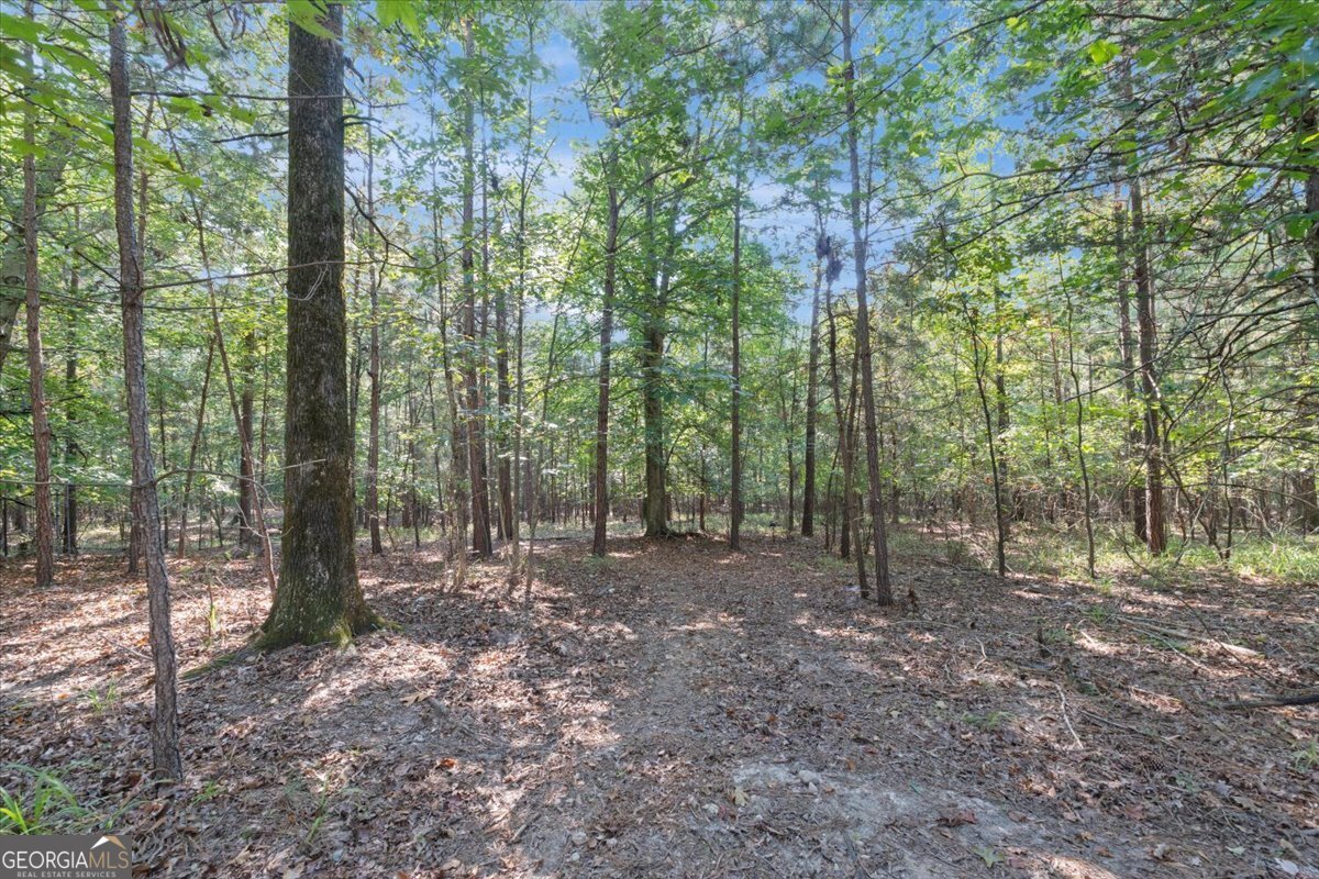 1750 Reids Ferry Road Buckhead, GA 30625 - Photo 39 of 56