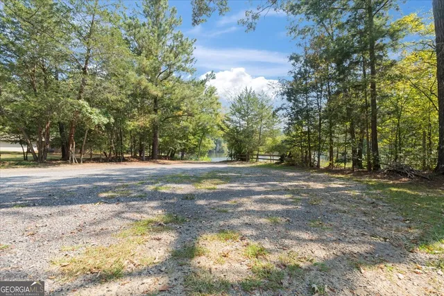 a view of a dirt road with trees in the background