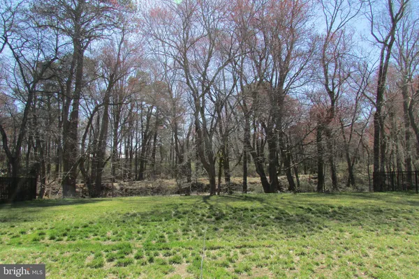 a view of outdoor space with trees all around