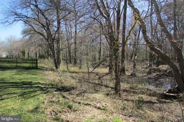a view of backyard with green space
