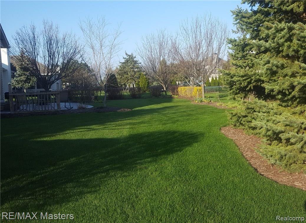 4215 Brest Road Newport, MI 48166 - Photo 27 of 33 Backyard