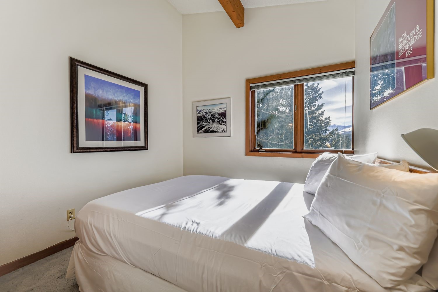 93 Fuller Placer Road, Unit F Breckenridge, CO 80424 - Photo 22 of 26 a bedroom with a bed and a large window