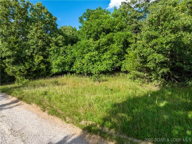 $27,500 | Lot #5 Great Oaks Drive, Camdenton, MO 65020