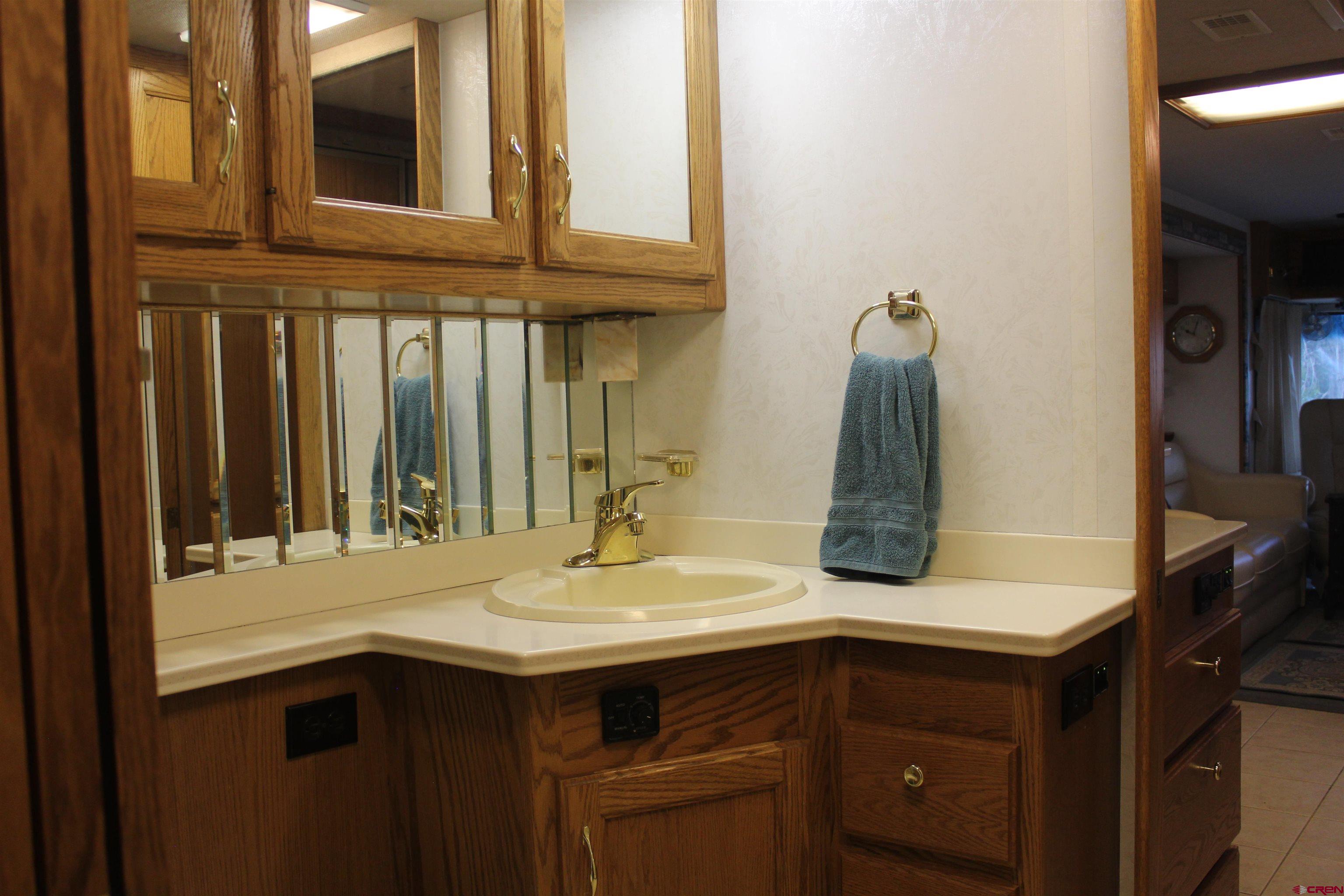21051 Brimstone Road Cedaredge, CO 81413 - Photo 13 of 25 a bathroom with a sink and a mirror