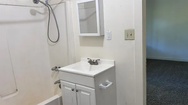 a bathroom with a sink and a mirror
