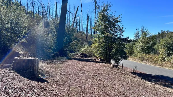 a view of a backyard with trees