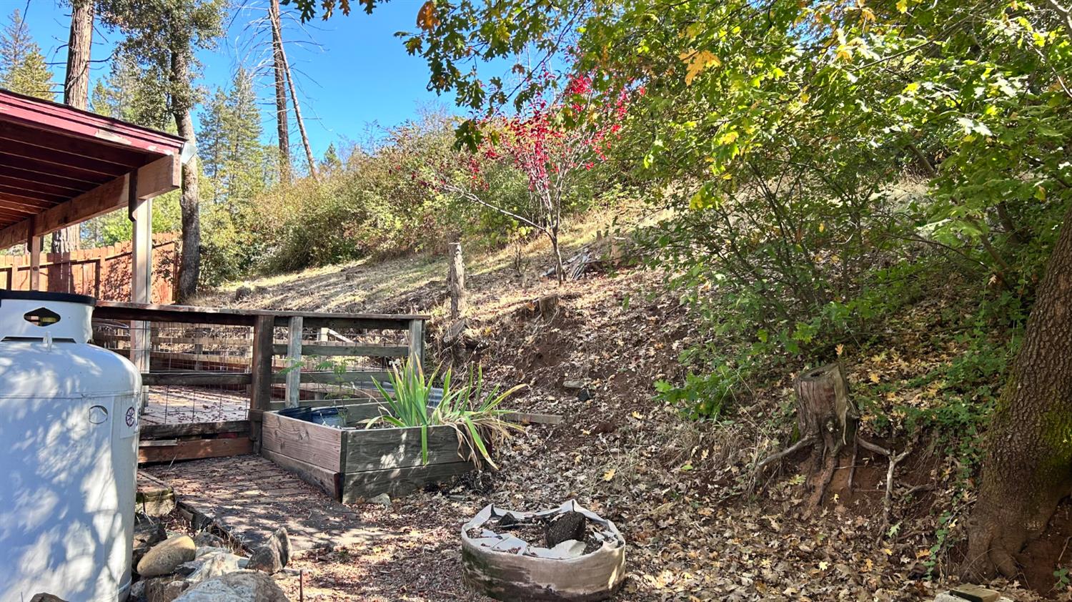 10210 East Murray Creek Road Mountain Ranch, CA 95246 - Photo 5 of 16 a view of a backyard with sitting area