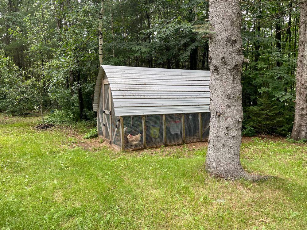 383 Old Alfred Road Waterboro, ME 04030 - Photo 35 of 38 picture40 coop