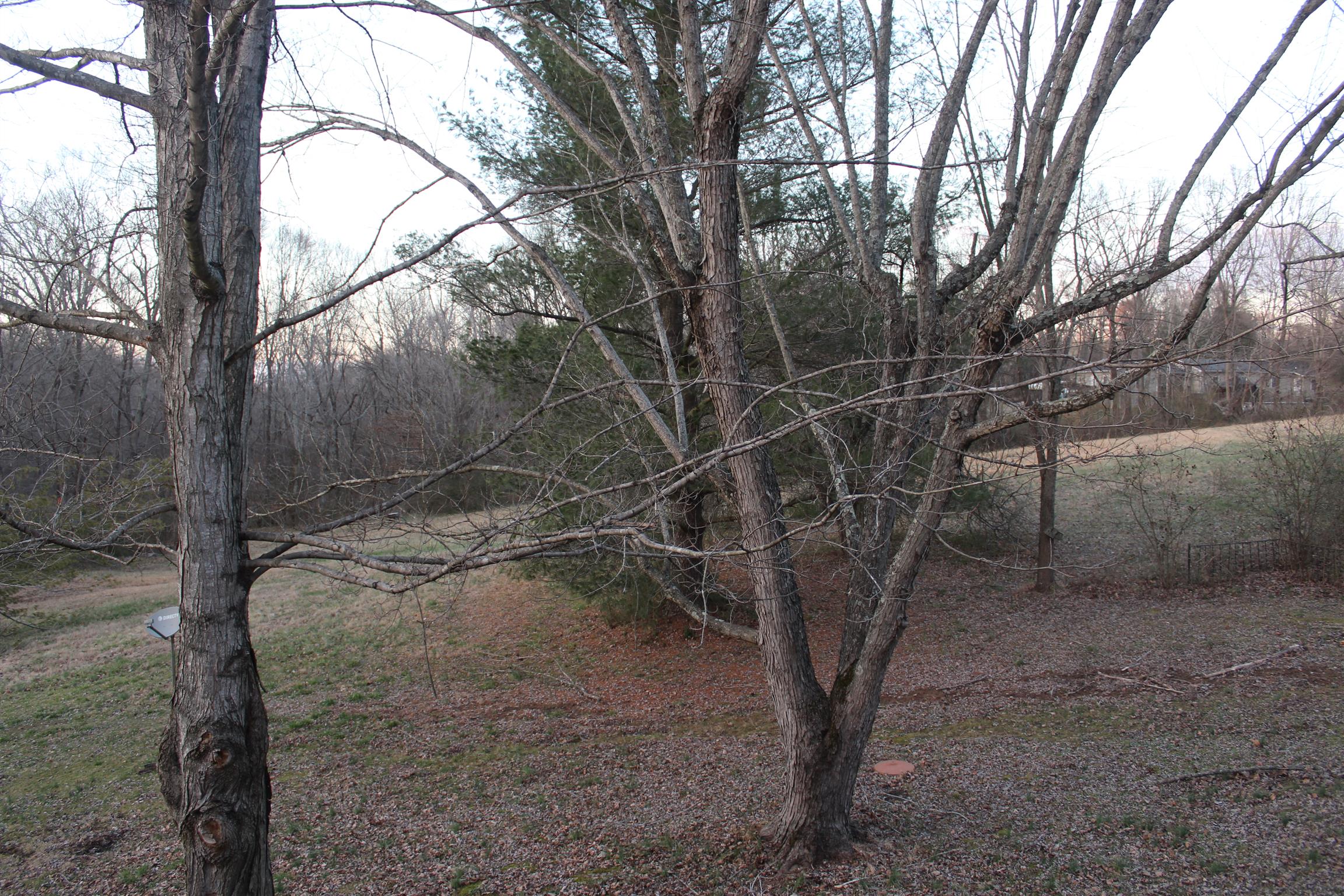 3006 West County Farm Road Springfield, TN 37172 - Photo 8 of 16 view from kitchen window