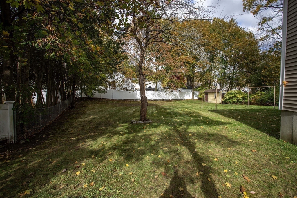 14 Sycamore Road Wakefield, MA 01880 - Photo 37 of 42 a view of yard with tree
