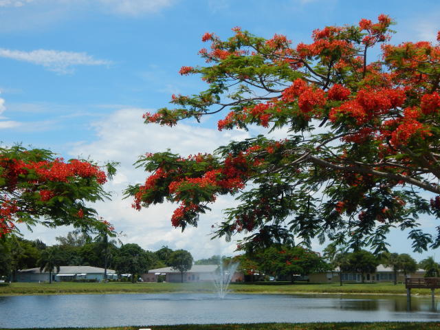 762 High Point Boulevard North, Unit D Delray Beach, FL 33445 - Photo 1 of 43 a view of lake with trees