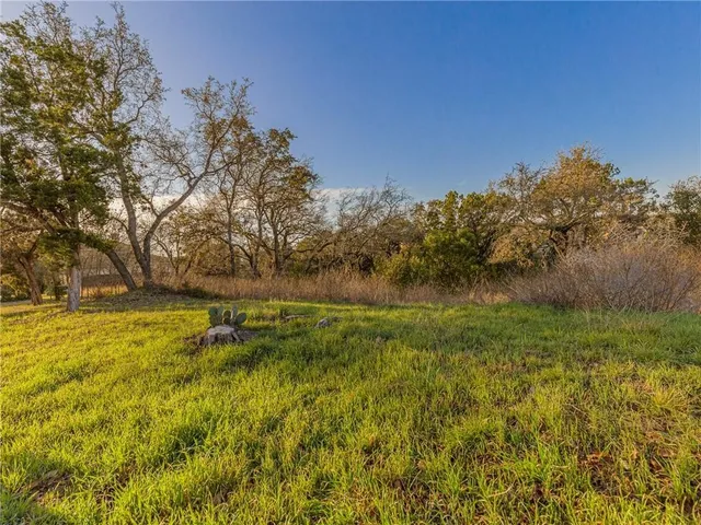 a view of beach and tree