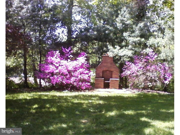 319 Southcroft Road Springfield, PA 19064 - Photo 16 of 24 a garden view with a tree