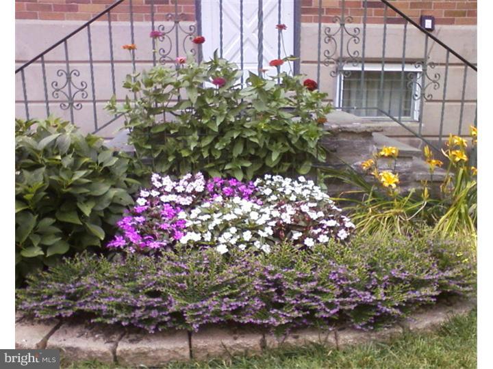 319 Southcroft Road Springfield, PA 19064 - Photo 23 of 24 a view of a flower in front of house