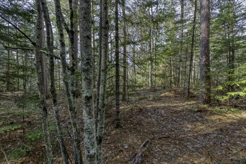 Off Natural Springs Road Presque Isle, WI 54557 - Photo 14 of 27 Gallery Image 14