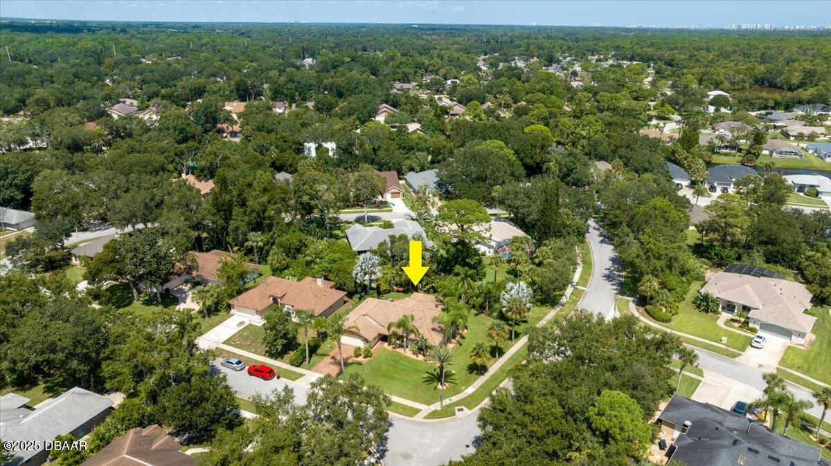 6225 Ranier Circle Port Orange, FL 32127 - Photo 38 of 50 an aerial view of residential houses with outdoor space and trees