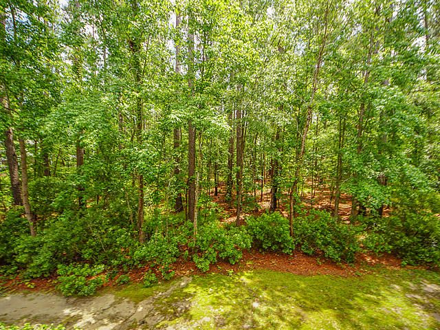 3467 Claremont Street Mount Pleasant, SC 29466 - Photo 15 of 45 Quiet and Peaceful!