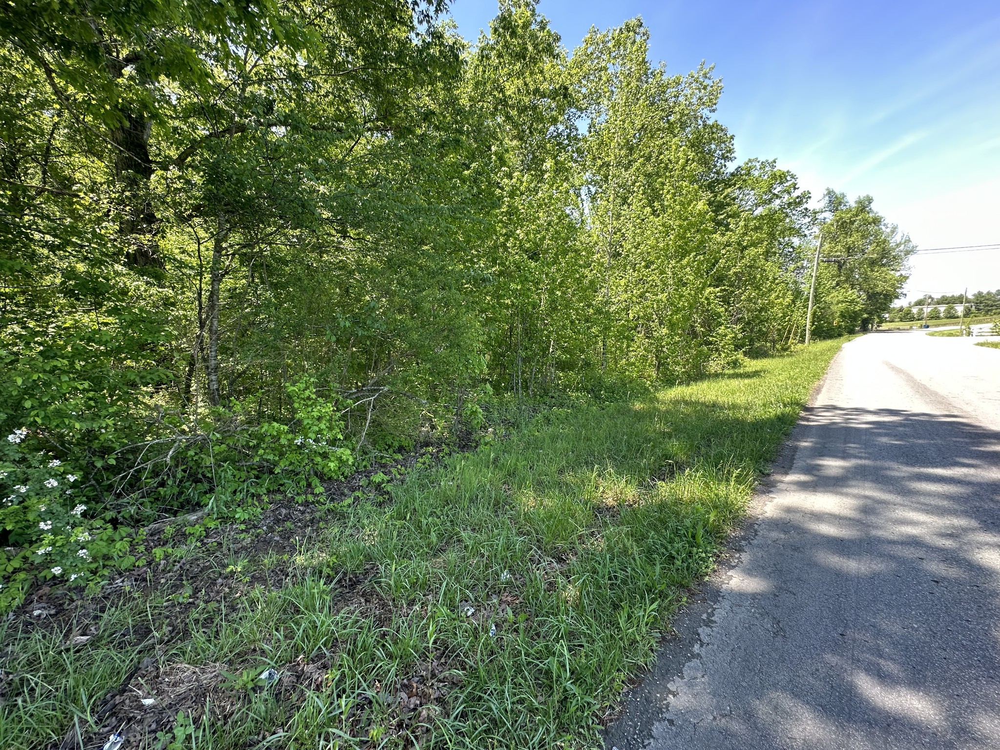 0 Ferrells Loop Road Northeast Beechgrove, TN 37018 - Photo 1 of 8 Gallery Image 1