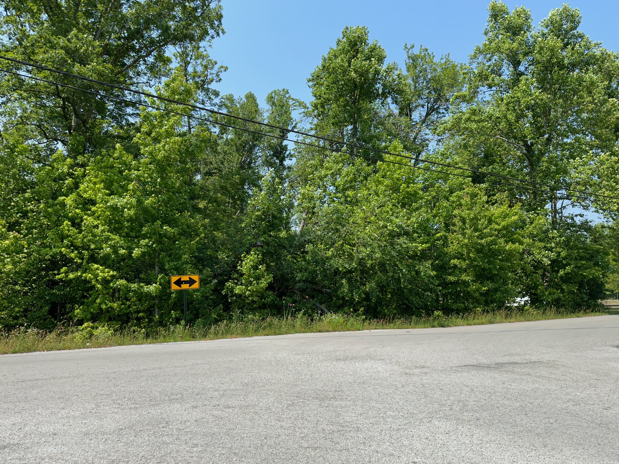 0 Ferrells Loop Road Northeast Beechgrove, TN 37018 - Photo 4 of 8 Gallery Image 4