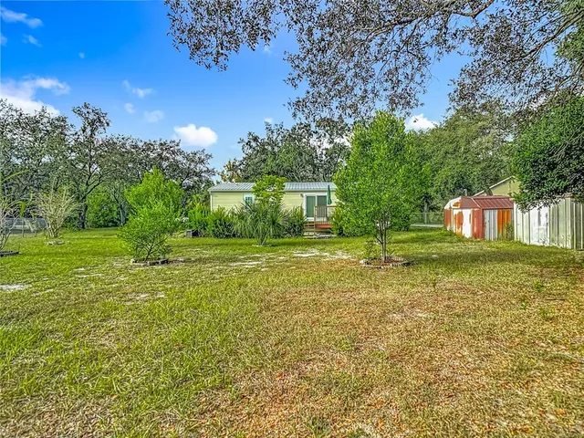 a view of a trees with a big yard