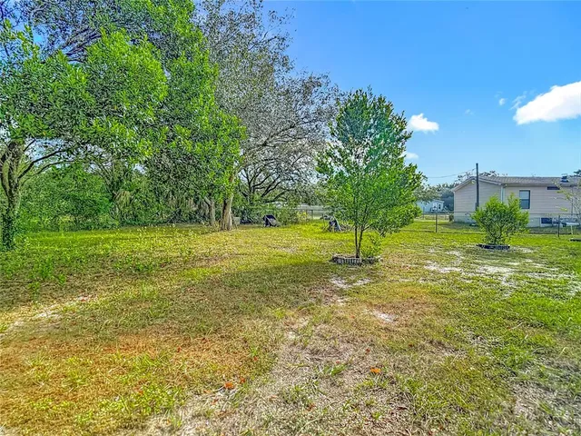 a close up of a plant in a garden
