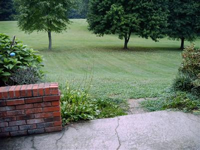 41 Maple Street Butler, KY 41006 - Photo 6 of 8 Gallery Image 6