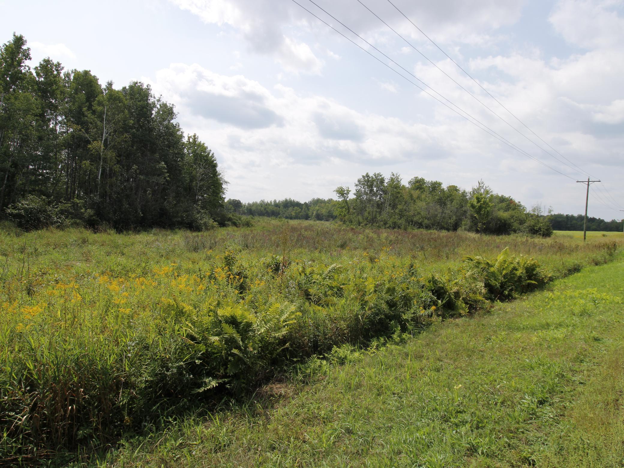 2208 Highway 70 Spooner, WI 54801 - Photo 6 of 39