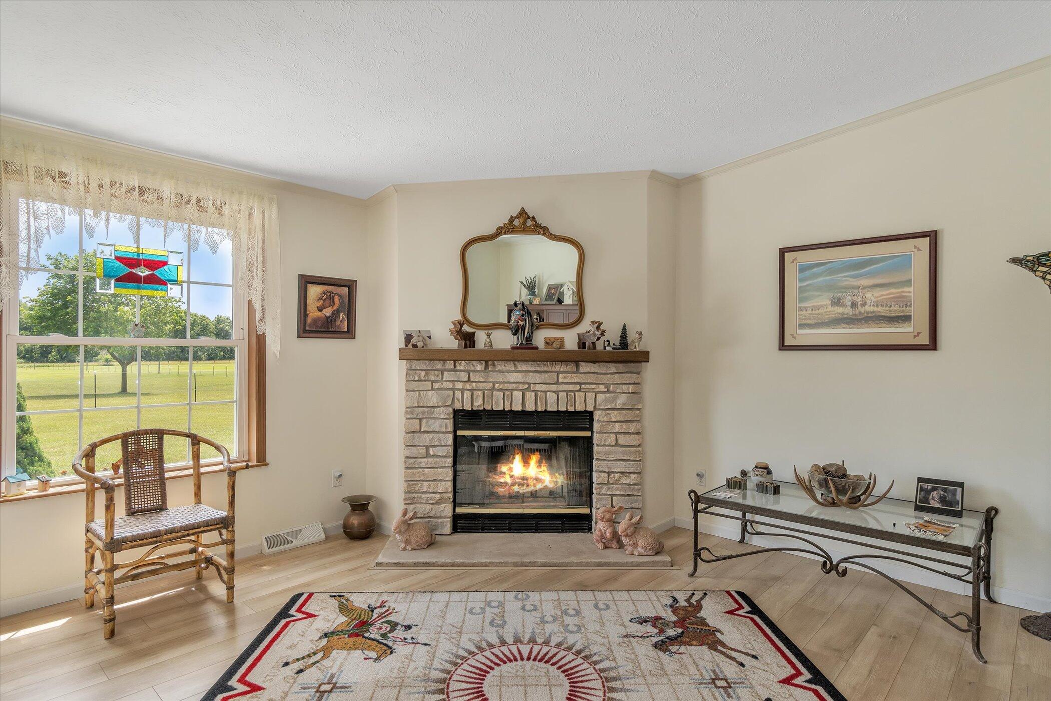 12181 Ladd Road Brooklyn, MI 49230 - Photo 8 of 52 08-12181-Ladd-Rd-WindowStill-Real-Estate